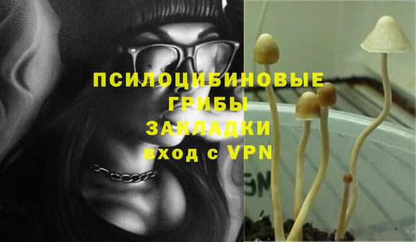 прущие грибы Алексеевка
