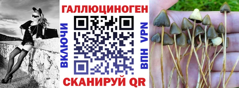 Галлюциногенные грибы мухоморы  ОМГ ОМГ вход  Приволжский 